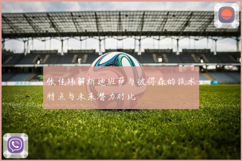 张佳玮解析迪班萨与彼得森的技术特点与未来潜力对比
